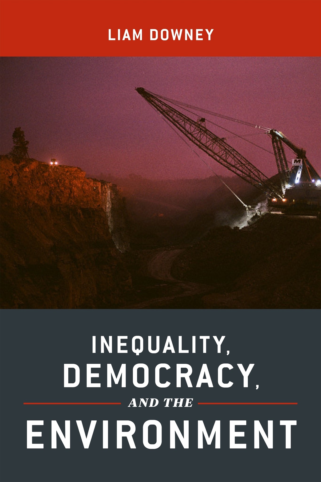 Cover image for Inequality, Democracy, and the Environment ISBN 9781479878406
